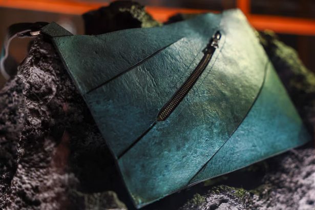 Dinozavr terisidan tayyorlangan sumka auksionga qo‘yiladi