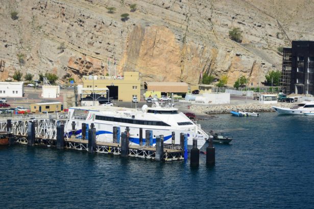 Hormuz bo‘g‘ozini tozalash yarim yilgacha cho‘zilishi mumkin