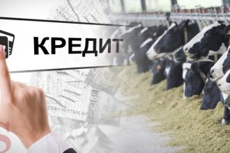Sirdaryoda 2,9 mlrd so‘mlik kredit talon-toroj qilindi