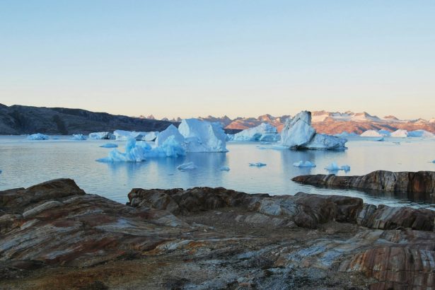 Trampning Grenlandiya bo‘yicha maxsus vakili Nuuk shahriga bordi