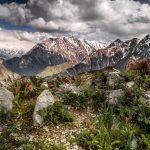 uzbekistan nature