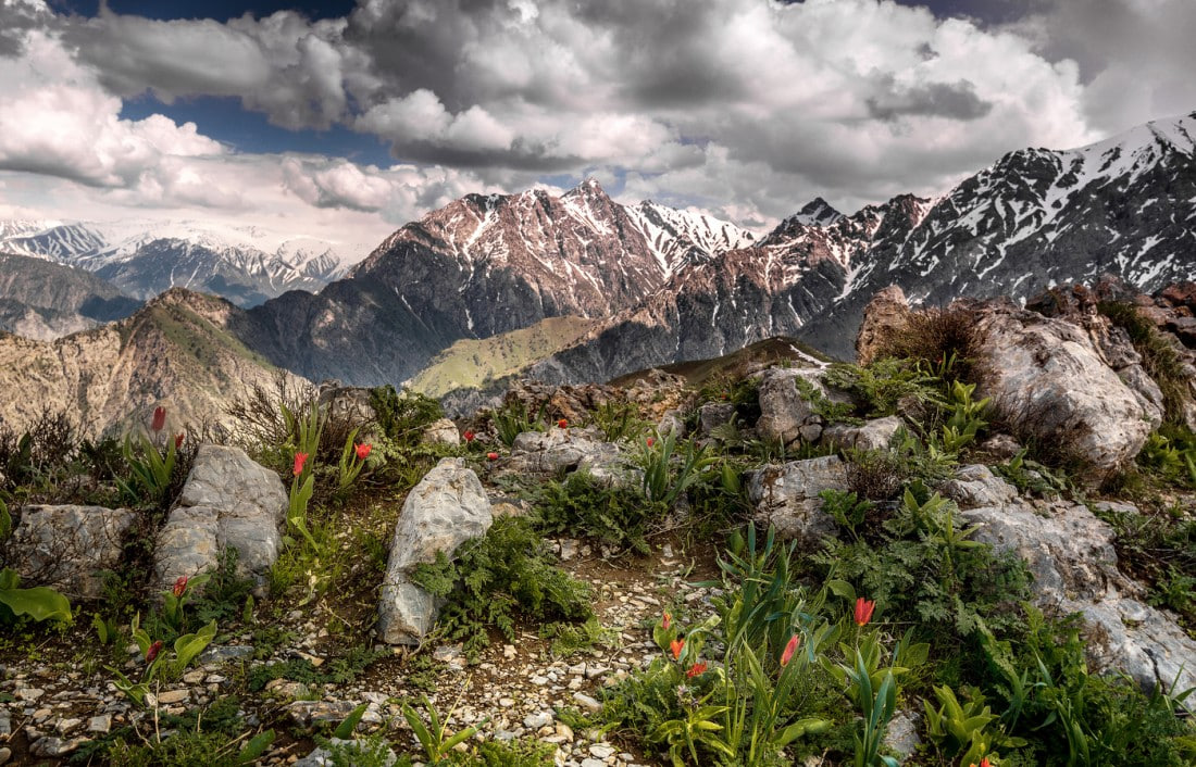 uzbekistan nature