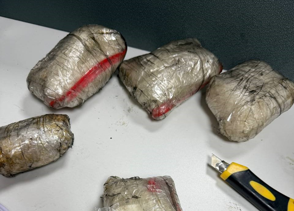 Rossiyadan olib kelingan 2,3 kg narkotik moddalar qo‘lga olindi