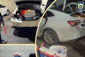 Toshkent va Namanganda noqonuniy tamaki savdosi fosh etildi