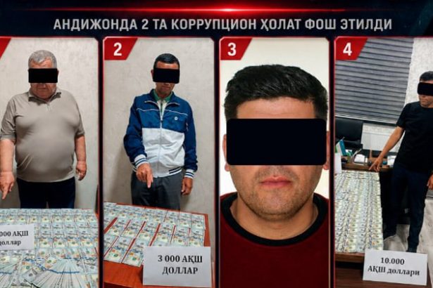 Andijonda noqonuniy yer savdosi bo‘yicha mansabdorlar ushlandi