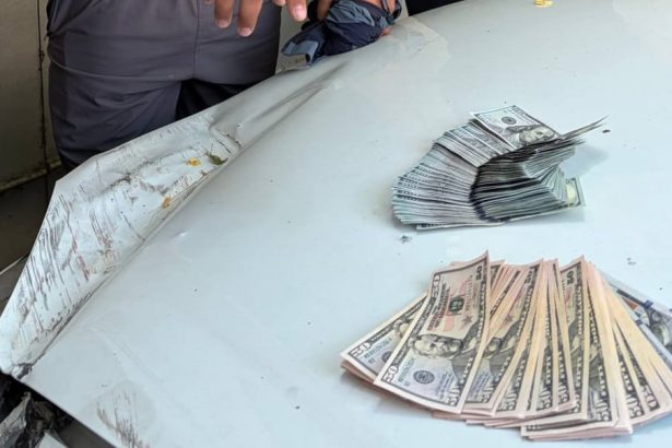 Toshkentda qalbaki 10 ming dollar sotgan shaxs ushlandi