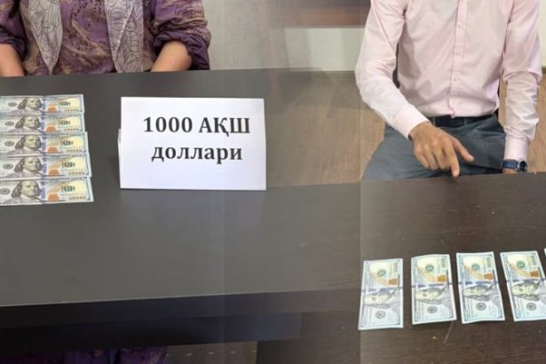 Ishga kiritish bilan bog‘liq firibgarlik holatlari fosh etildi