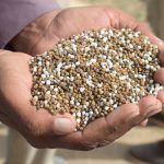 To‘rtta hududda 6,7 mlrd so‘mlik mineral o‘g‘itlar talon-toroji aniqlandi