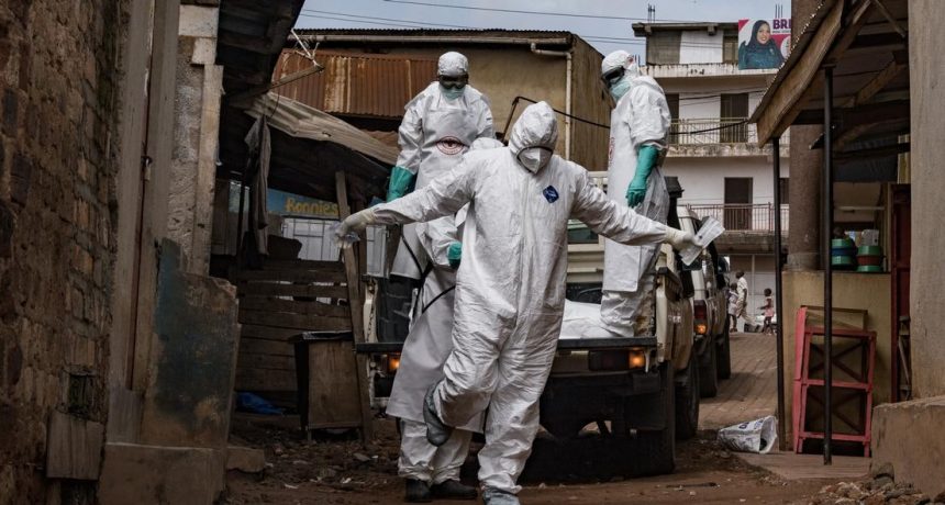 JSST: Ebola holatlari rasmiy raqamdan 4 baravar ko‘p